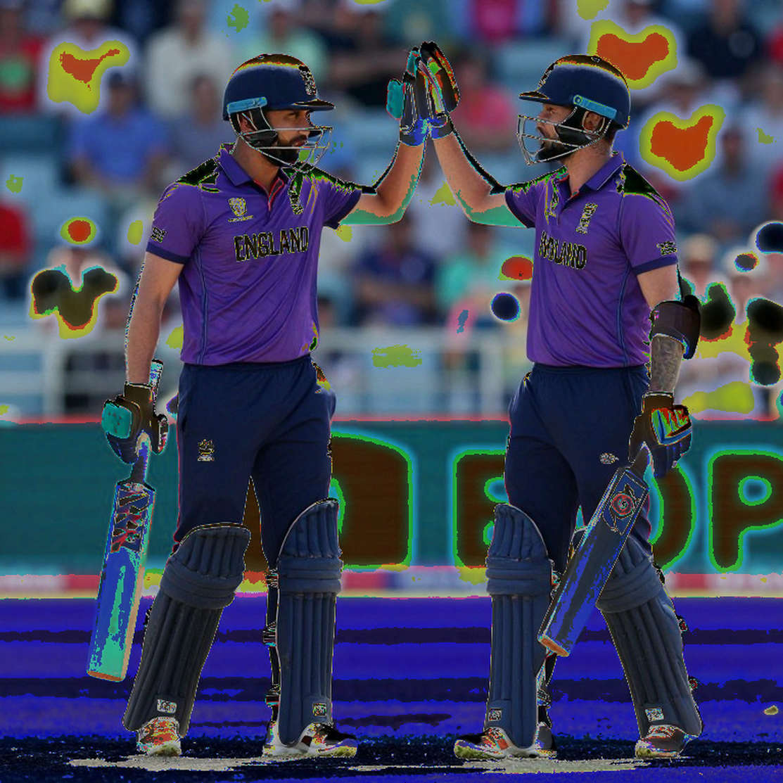 The Silence of the Review Room: Where Asian Cricket's Arguments Went When They Left the Pitch